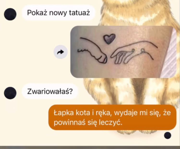 BrunoJasienski's tweet photo. https://t.co/bOVuCAXskW