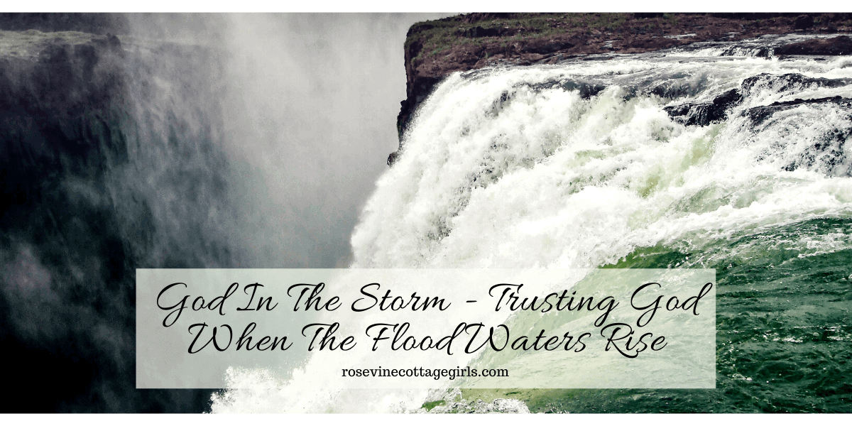 hasty_brianna's tweet photo. Where Is God In The Storm? #GodInTheStorm #SpiritualStorms #StormsOfLife https://t.co/8siFURZTsK via @@RosevineCottage https://t.co/r6tWo9Uwdw