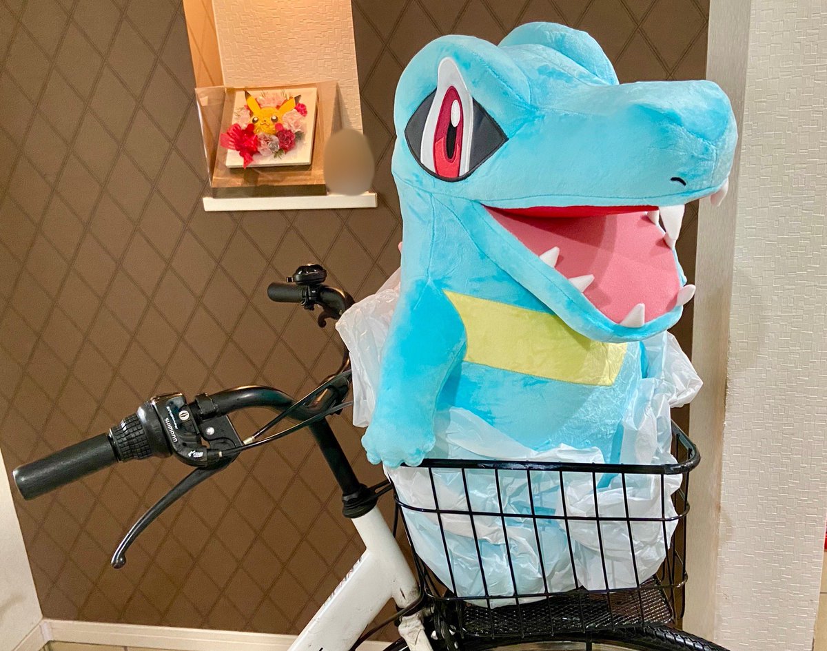 おっきなサイズのワニノコ レア タグ付き おっきなサイズのワニノコ