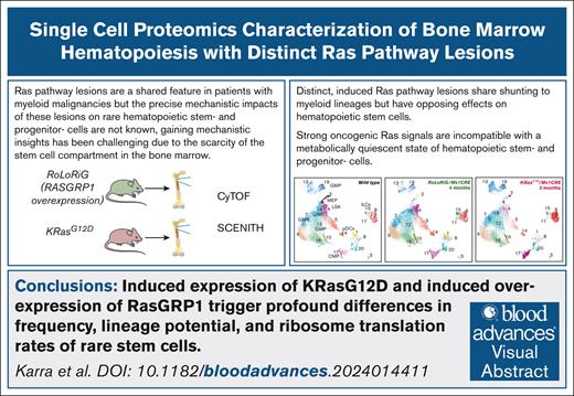 Blood Journal (@bloodjournal) on Twitter photo Distinct, induced Ras pathway lesions share shunting to myeloid lineages but have opposing effects on HSCs. Strong oncogenic Ras signals are incompatible with a metabolically quiescent state of HSCs and progenitor cells. Read in Blood Advances: ow.ly/kIb250XbKxS Distinct, induced Ras pathway lesions share shunting to myeloid lineages but have opposing effects on HSCs. Strong oncogenic Ras signals are incompatible with a metabolically quiescent state of HSCs and progenitor cells. Read in Blood Advances: ow.ly/kIb250XbKxS