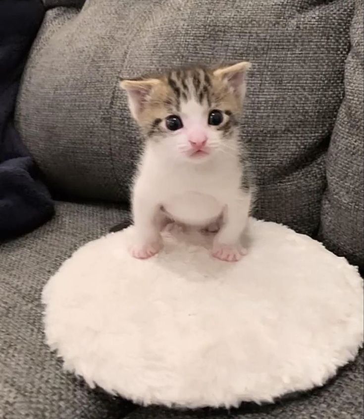 Usser:
 El user anda algo de bajon hoy, me tomare el dia para descansar, los tqm