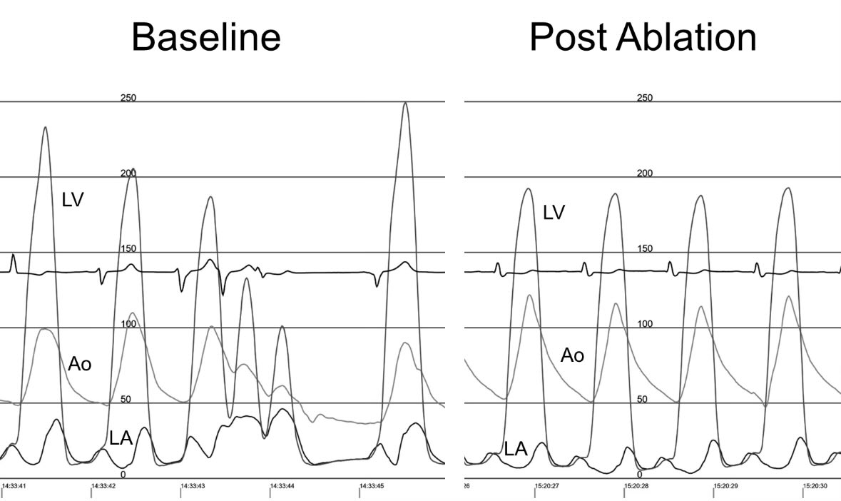 Mack Eleid tweet media