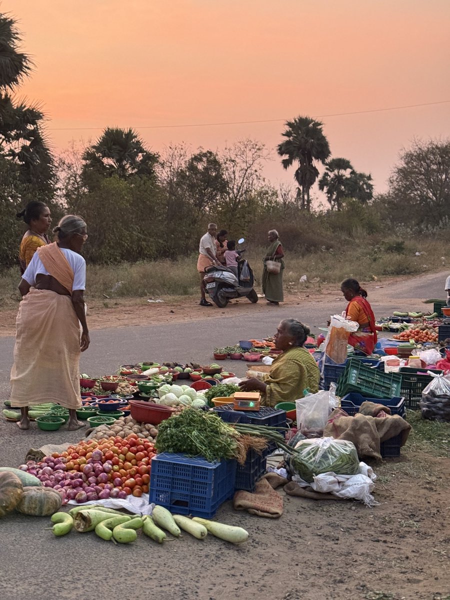 mikeblue7 😎🤟👽 tweet media