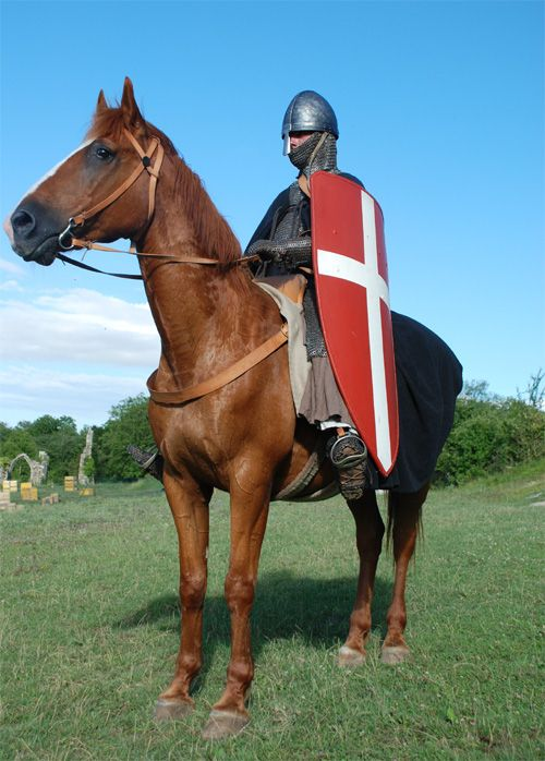 MemoryMedieval's tweet image. Terror of the 11th century