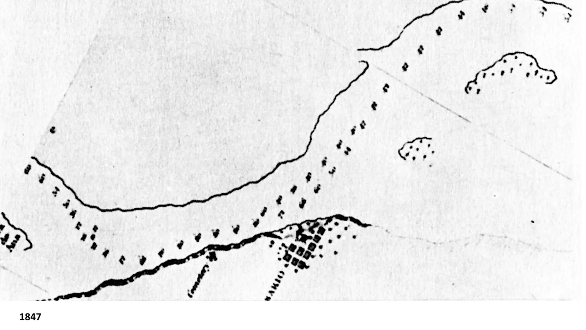 Pablo Franza tweet media