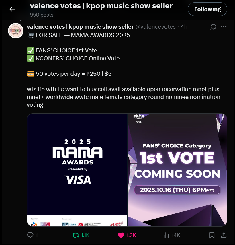 BEAR || misiu 🧸 tweet media