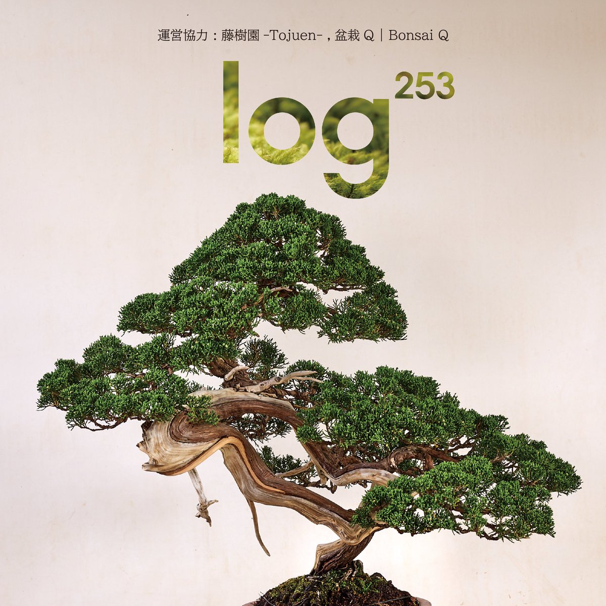 Log253_info's tweet photo. 【イベント告知】
Log253 at MIDORIso | 4th EVENT
Day : 10/31(金)19:00~22:00🎃
Fee : Entrance ¥3,500+tax
Address : MIDORIso Nagatacho 5F
  東京都千代田区平河町2-5-3 5階

https://t.co/nJqxvOXBos

という感じで盆栽囲んで乾杯する会をやるので興味ある方遊び来てください
#盆栽 #Log253 https://t.co/8CUVURrYg8