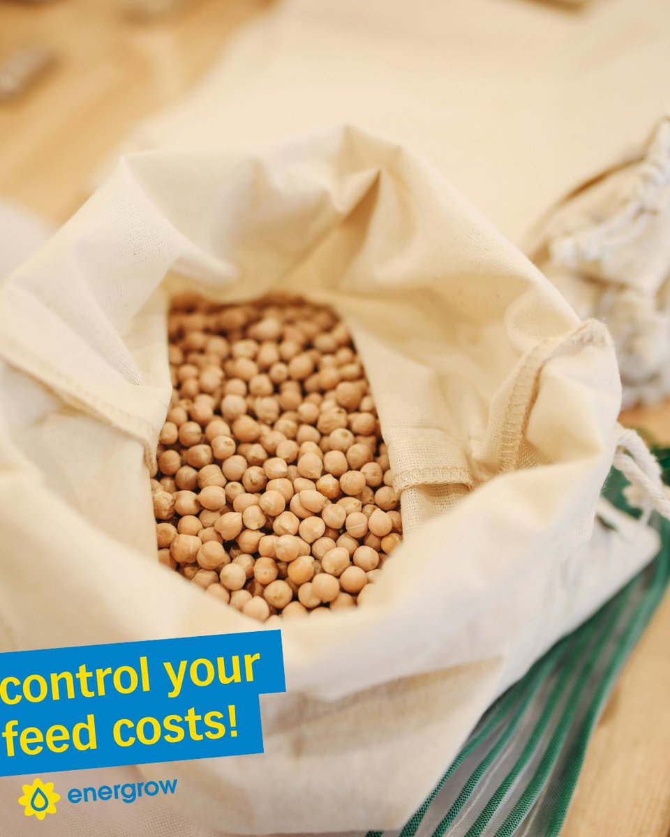 Crush your own beans, lock in savings, and keep the margin with Energrow.
Because YOU deserve it. 
#AgTech #FarmProfit