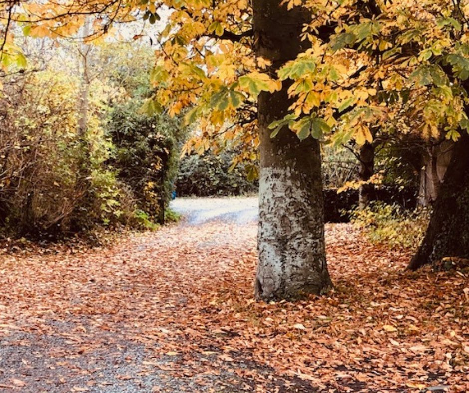 Ghan House tweet media