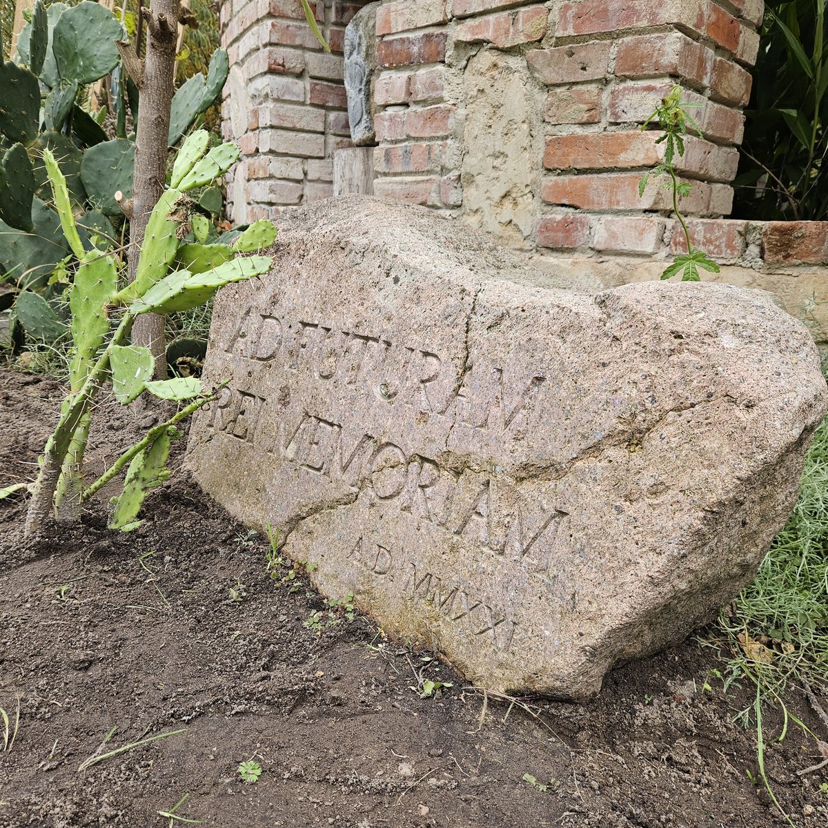 Oded Lifshitz, a Polish-Israeli citizen,  was a #Peace activist and a gardner with passion for Cacti. He was 83 when kidnapped and murdered by #Hammas terrorists. Today, we inaugurated in his memeory a cacti section at the beautiful botanic garden of 'Ziołowy Zakątek' (Podlasie).