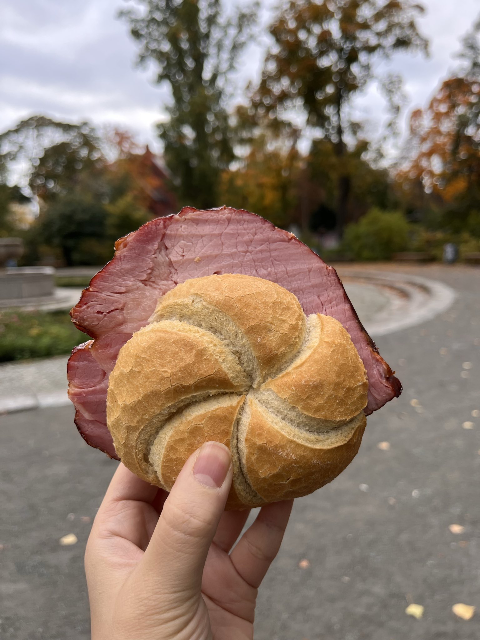 はむさんどページ ななつのこ on X: 