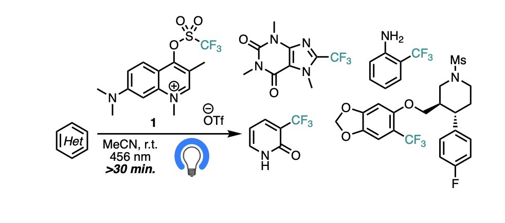 GustafsonLab's tweet image. Check out our latests work in collaboration with @Taylorlab_Chem ! We evaluated their biomolecular photocaged trifluormethylation reagent on small molecules, finding it effected the rapid trifluoromethylation of diverse aromatics, including several APIs.
chemrxiv.org/engage/chemrxi…