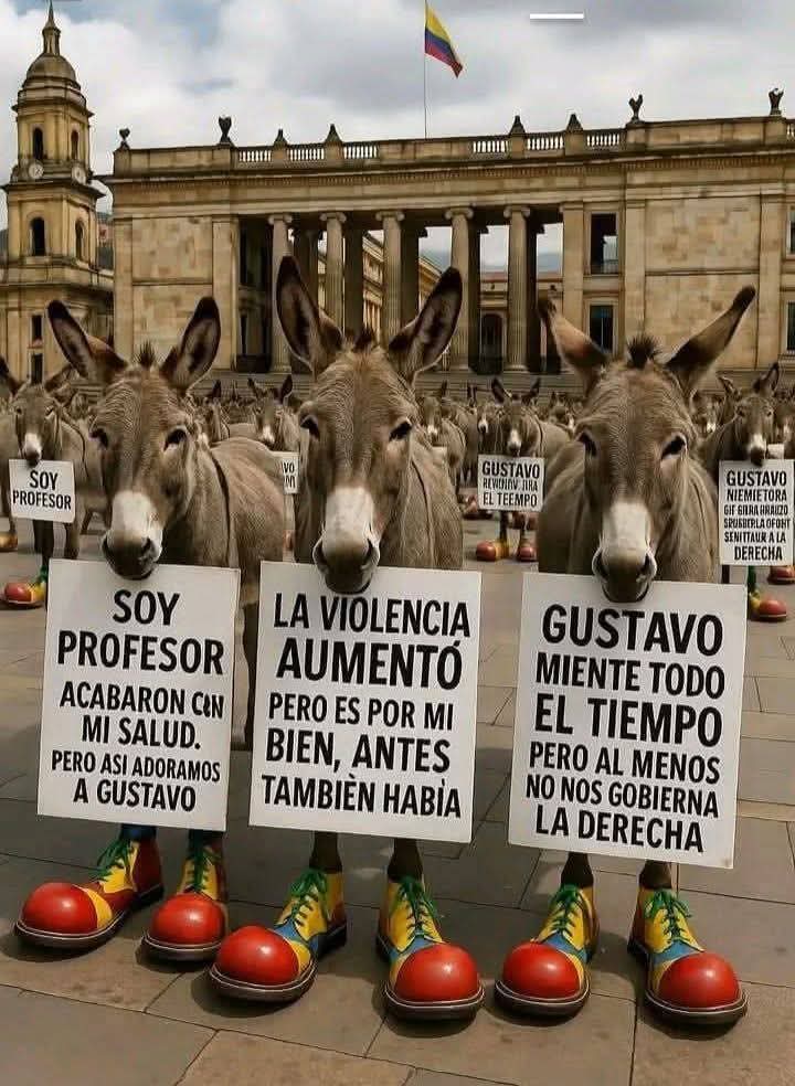 LinaGuarin8's tweet image. 