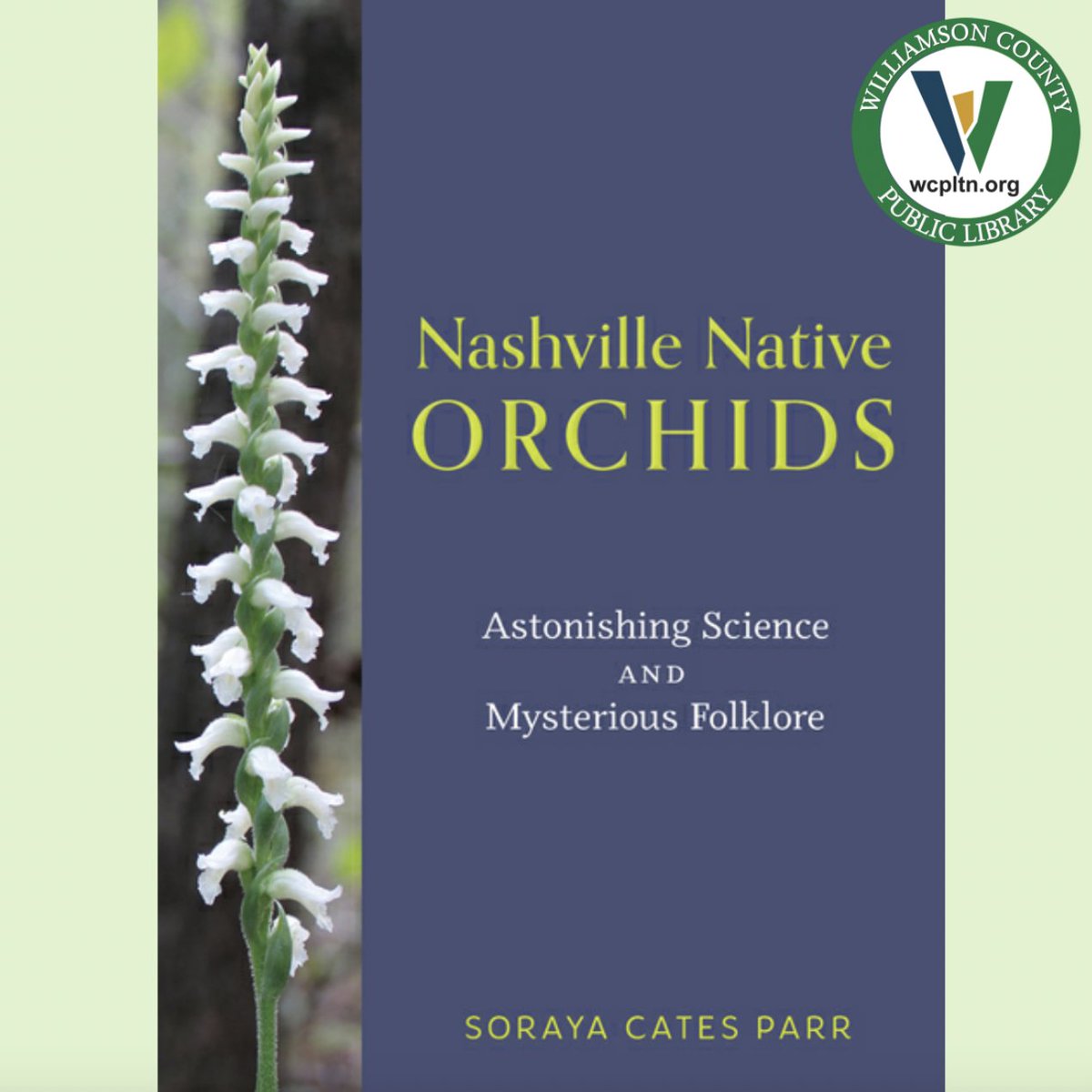 Williamson Scene tweet media