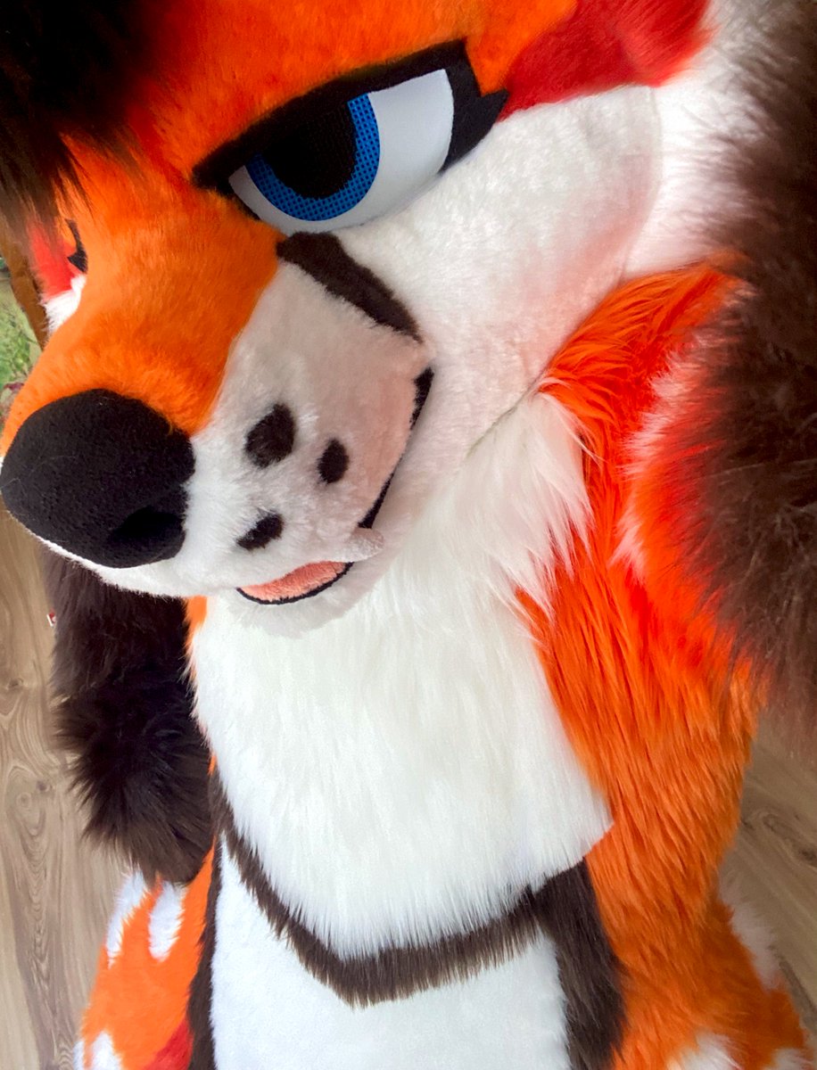 In need of a smol fops? 🦊👀