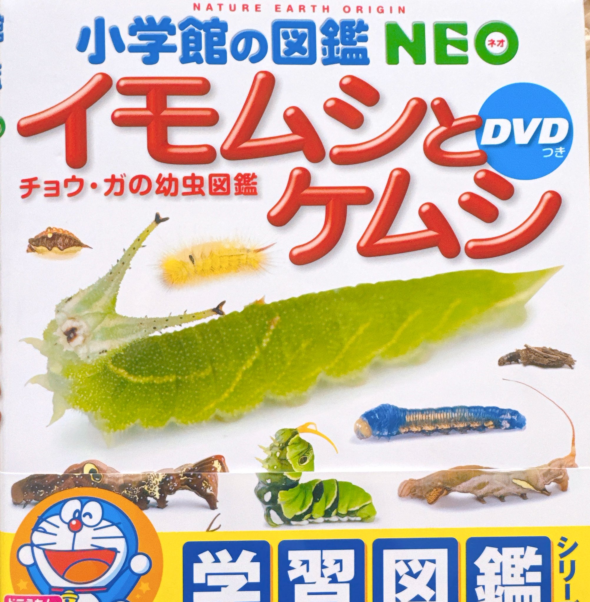 イモムシとケムシ チョウ ガの幼虫図鑑 小学館の図鑑NEO DVD付 小学館