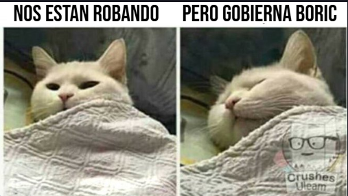 SebastianRochaZ's tweet photo. 🔹Los arbolitos de la secta 🌳 https://t.co/uXwI84z5bd