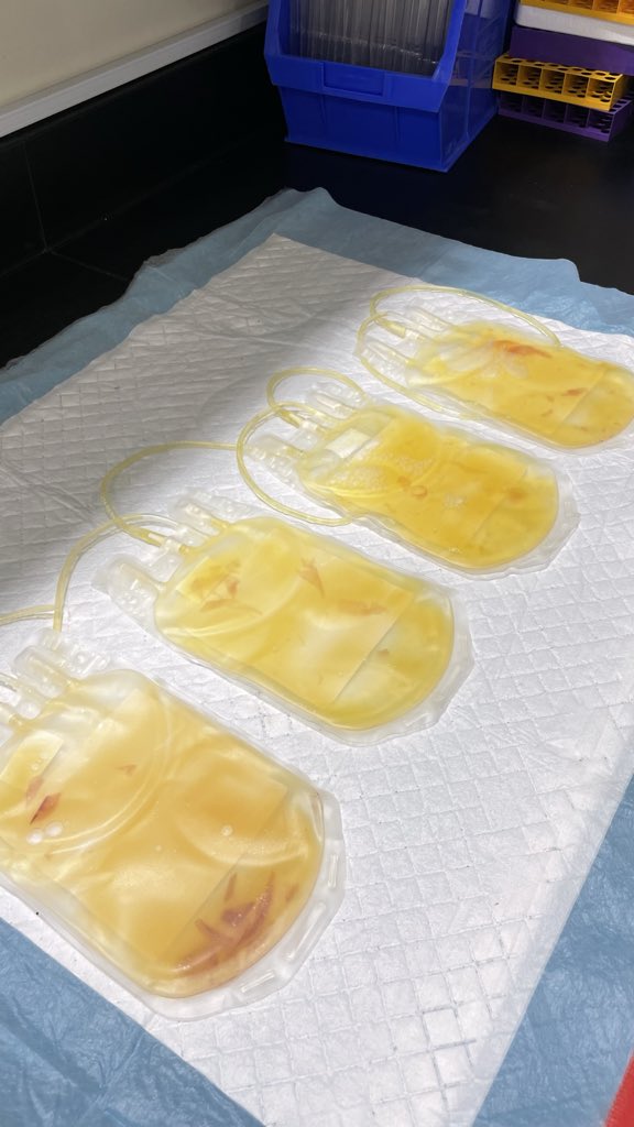 Blood components🩸.