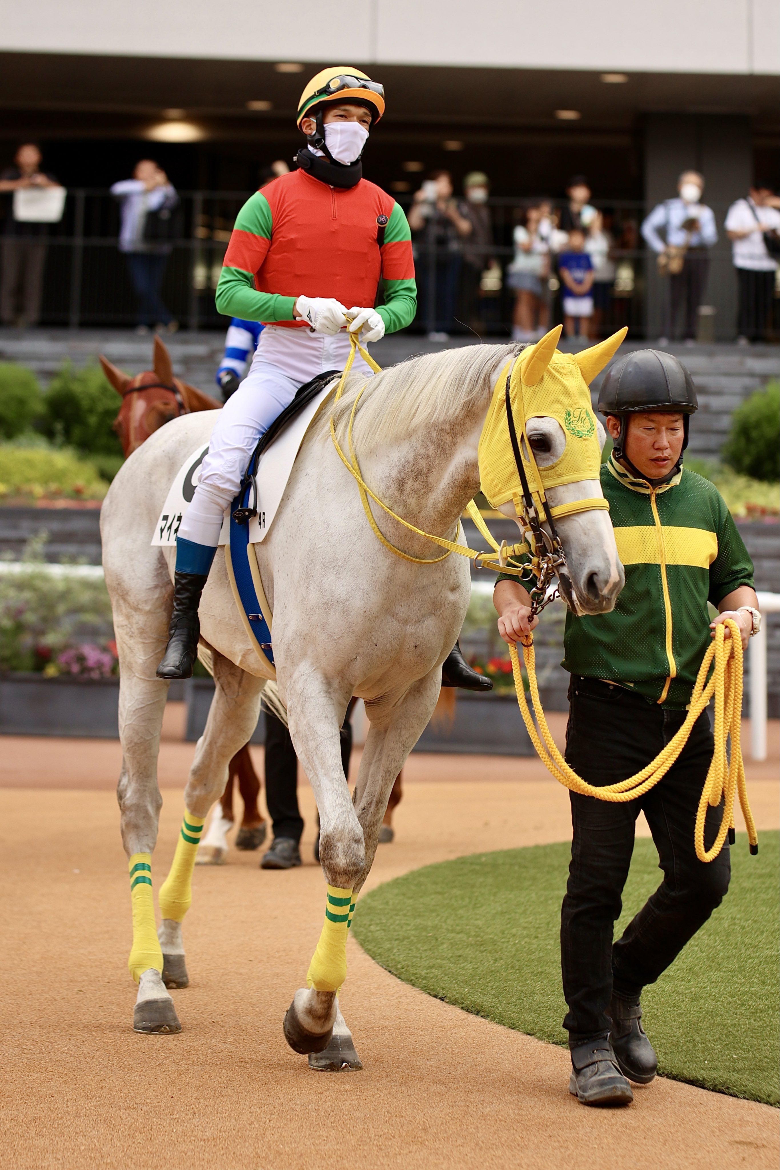 （8月VIP 15%off中） hnzsuaです❣0425 蟹蟹パラダイス (@Zq77AXTrTMwLtw5) / X