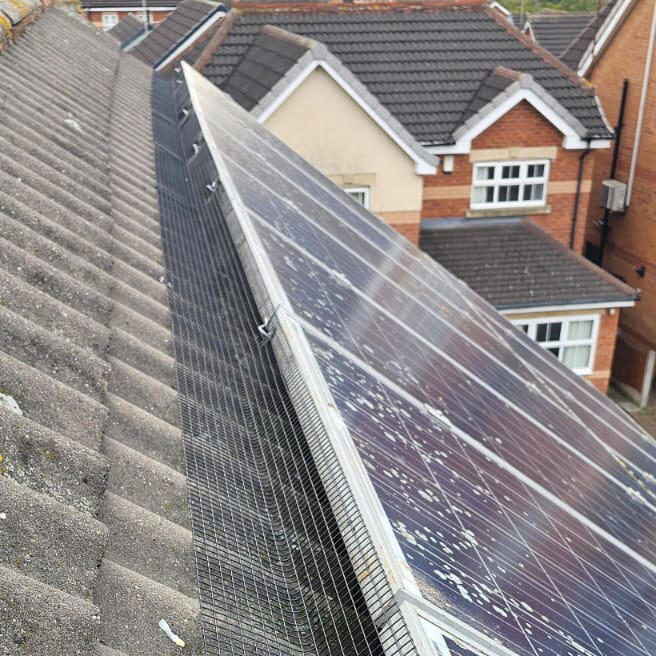 ExpelBird's tweet image. Protecting Solar Panels From Pigeons in Rotherham 10 2025. We seem to be visiting South Yorkshire frequently, in this case pigeons are doing their best to nest under these solar panels #BirdProofing #Yorkshire expelbird.co.uk/protecting-sol…