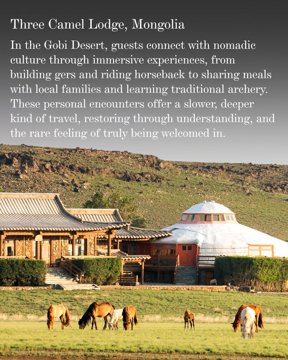 Stay Beyond Green tweet media