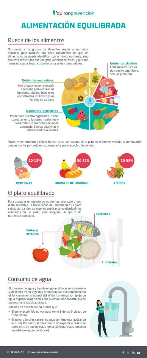 #Infografía | ¿Preparas tus platos a conciencia? 🍽️ En este #DíaMundialDeLaAlimentación, te ayudamos a pensar comidas equilibradas 👇