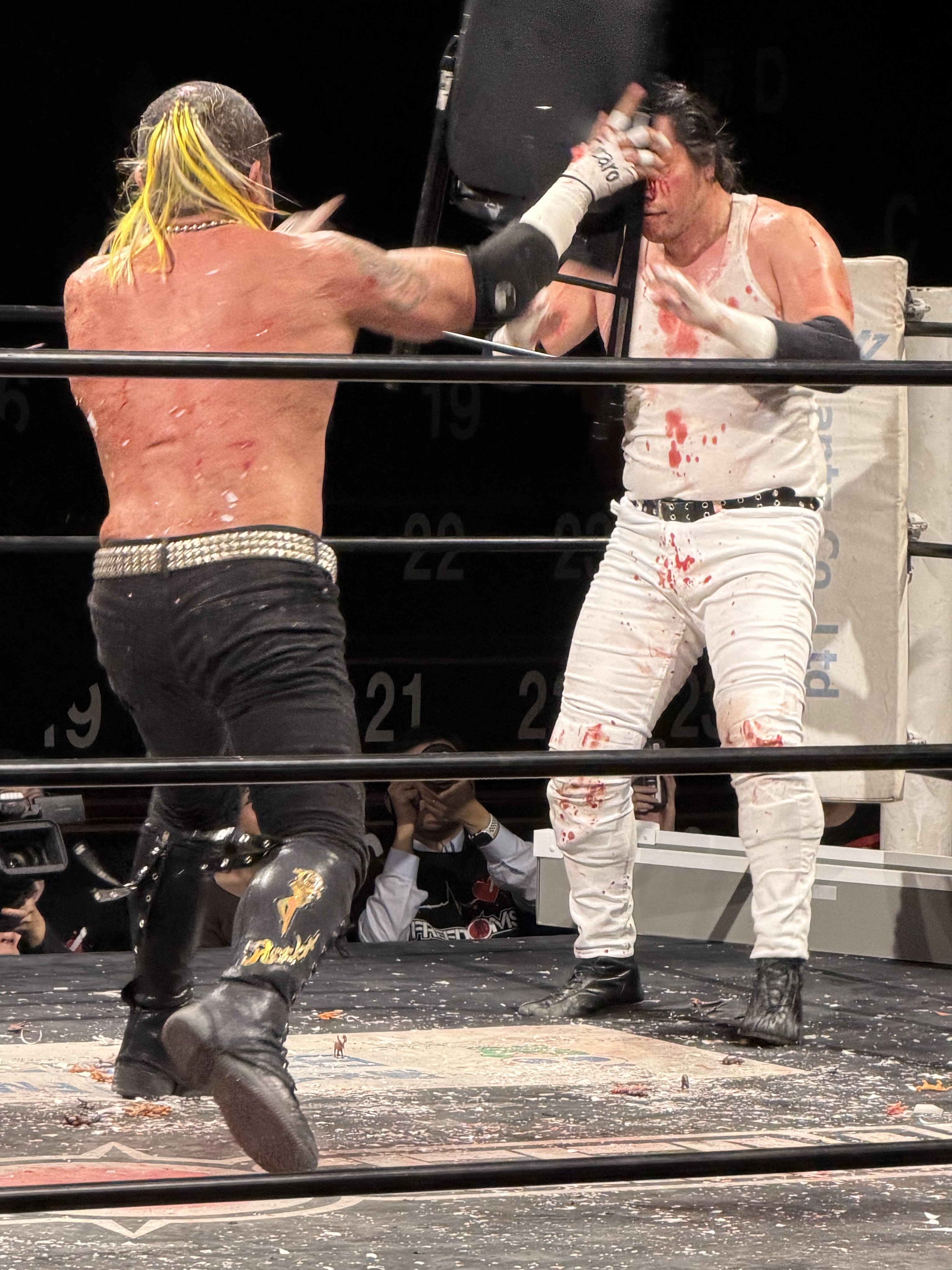 OSAKA BIGSHARKS on X: 