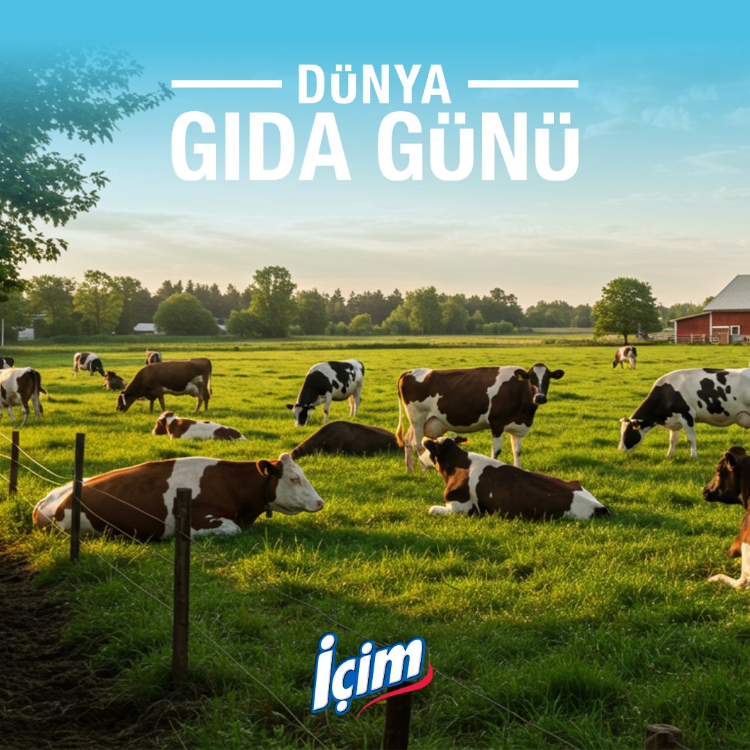 icim's tweet image. Küresel iklim değişikliği ve azalan doğal kaynaklar, sürdürülebilirliği her zamankinden daha önemli hale getiriyor.

Bu sorumlulukla sürdürülebilir bir gıda ekosistemi için kaynaklarımızı verimli kullanmaya ve yenilikçi, fonksiyonel ürünler geliştirmeye devam edeceğiz.

#İçim