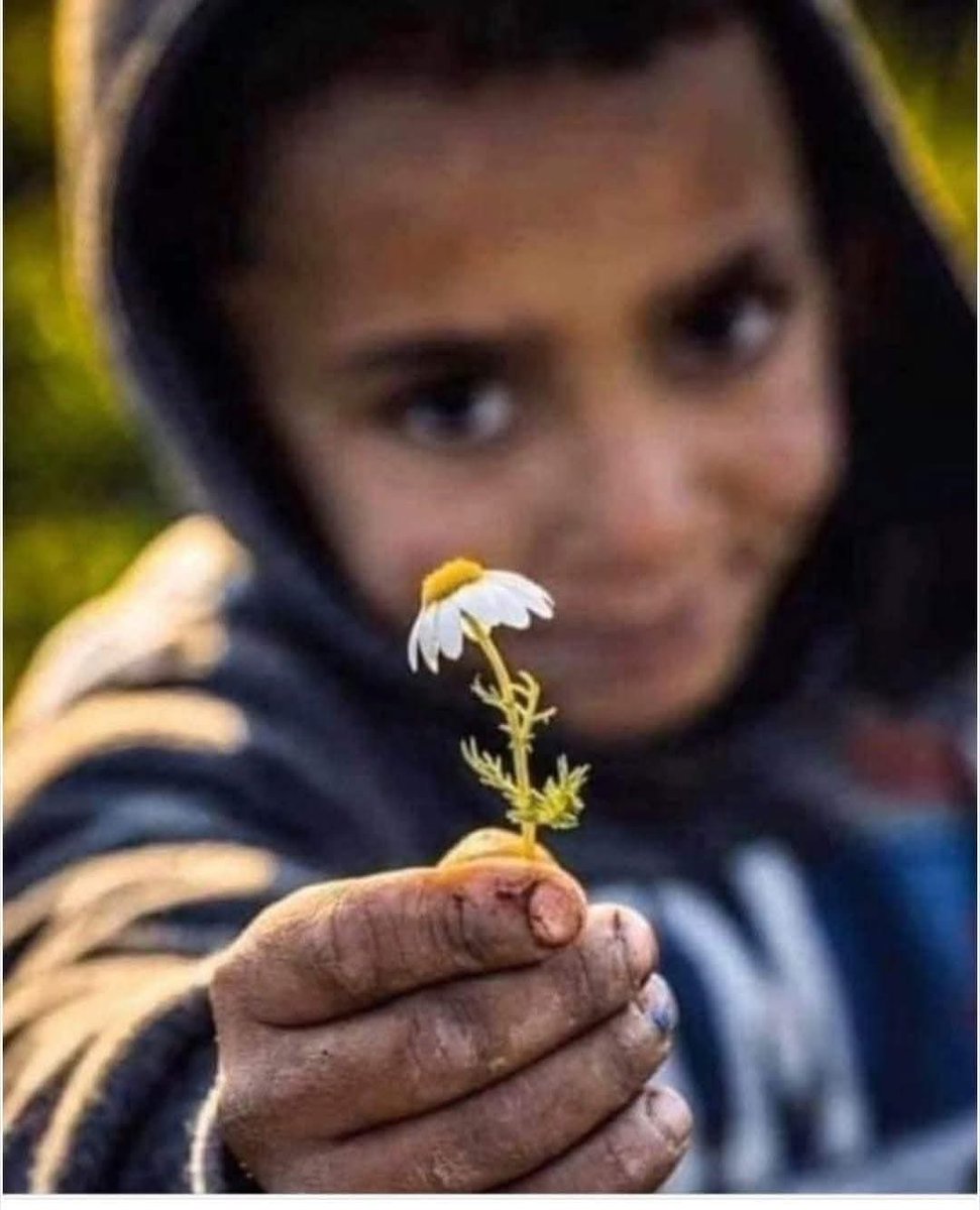 "Sevgi Alanı Da Vereni De Tedavi Eder"

Terasa