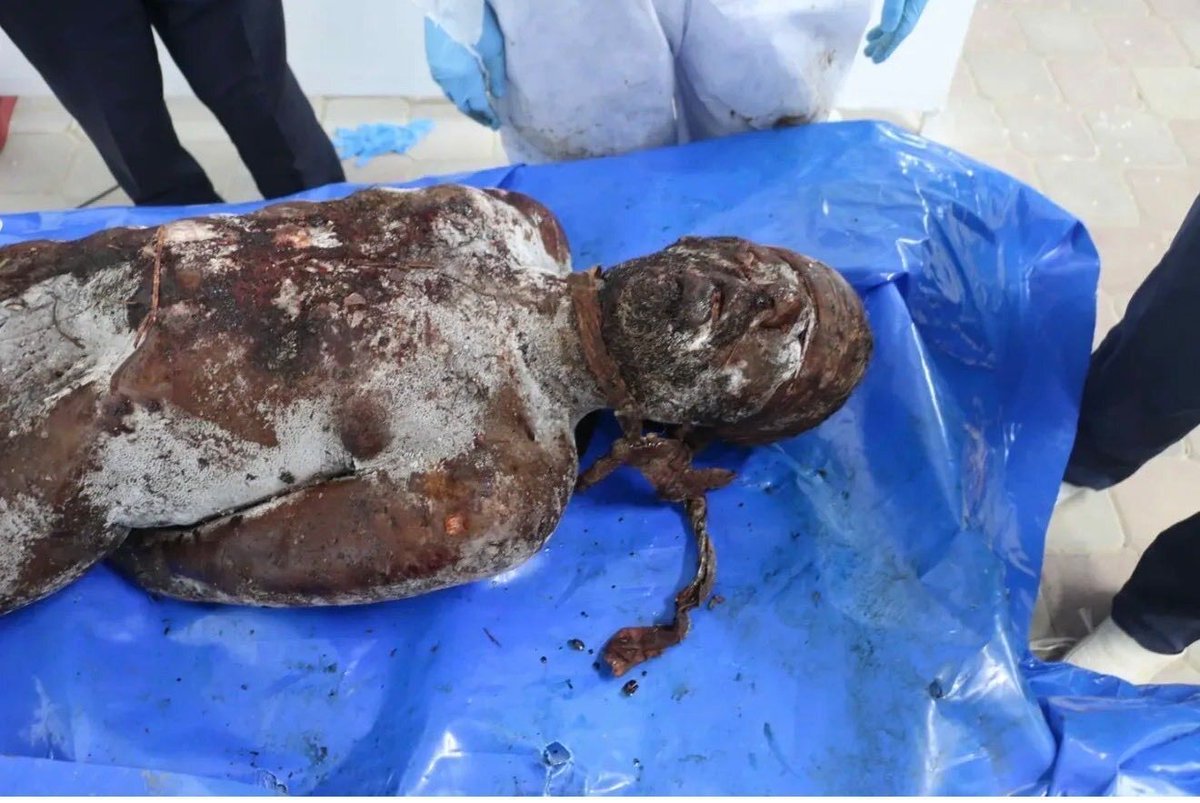 ⚠️ Tortured to death in Israeli prisons.
Hands tied, eyes blindfolded, rope around his neck — the marks of brutal abuse are undeniable.

So torture marks all over his body… but since it’s not Israeli suffering, the media won’t touch it