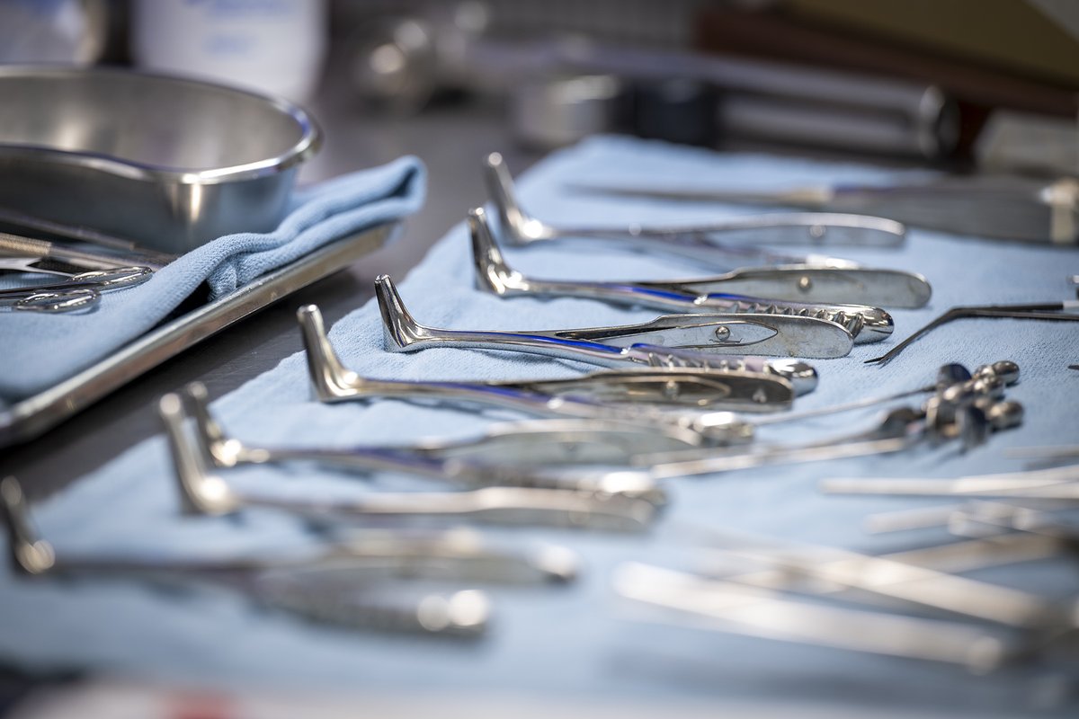 KingstonHSC tweet media