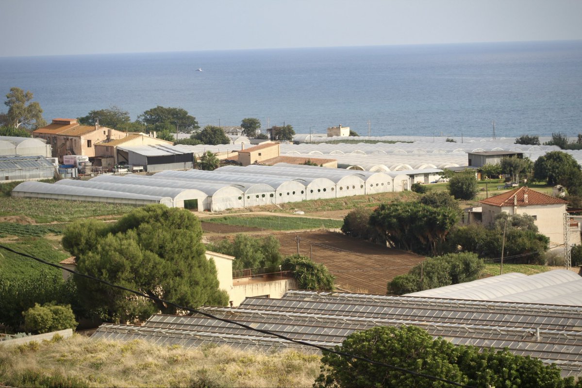 oscarordeig's tweet image. Els mosaics agroforestals, els paisatges agrourbans i el vincle rural-urbà són unes de les millors eines per fer front als efectes del canvi climàtic.
Avui Mataró compleix amb el Pla de gestió i desenvolupament del seu espai agrari.
L’objectiu: protegir-lo i impulsar-lo.