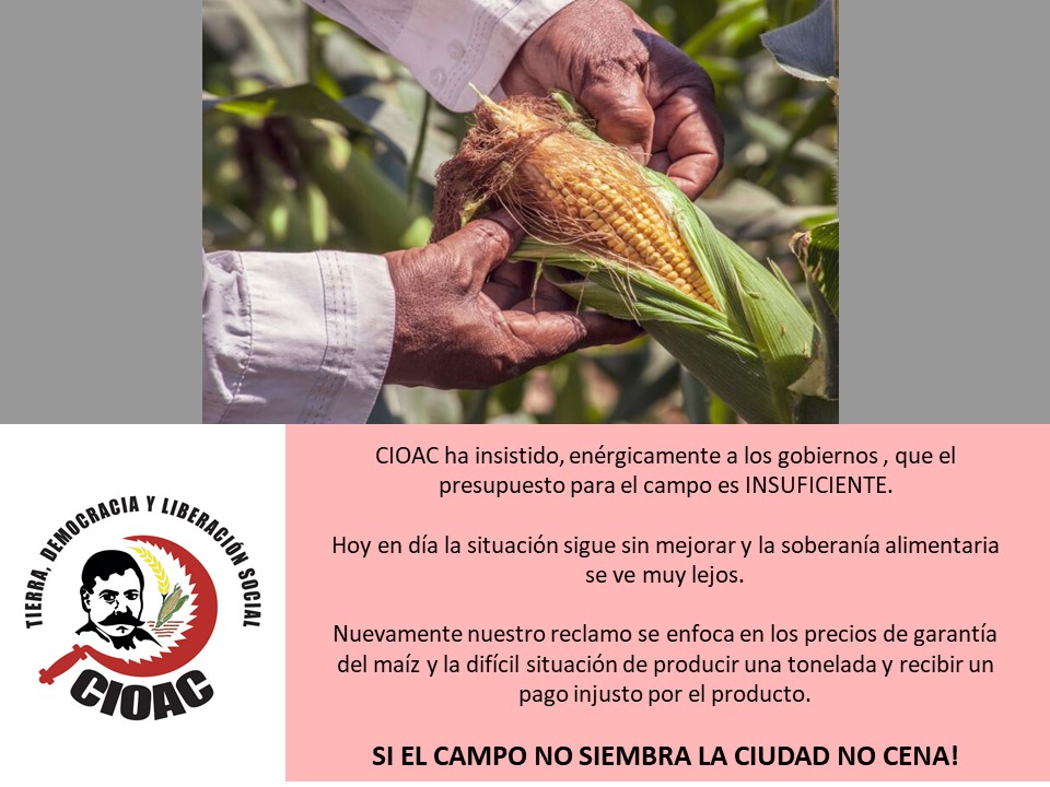 CIOACTabasco tweet media