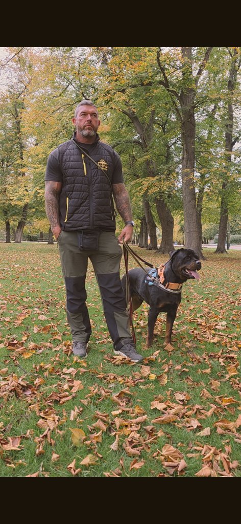 MOM🇺🇸 tweet media