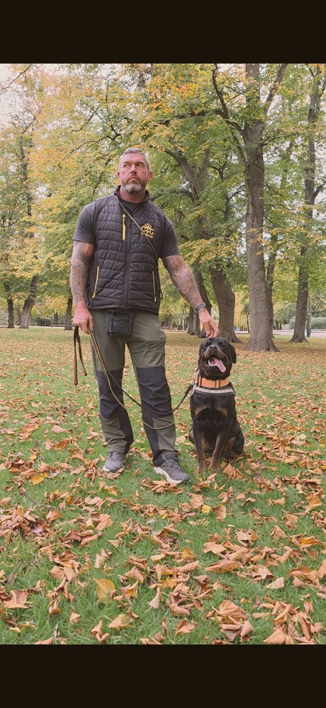 MOM🇺🇸 tweet media