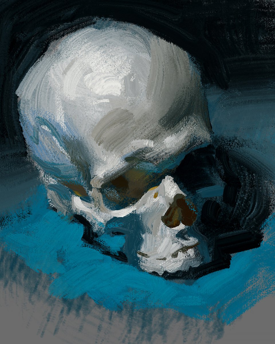 LaneDraws's tweet photo. Skull study 1
--- https://t.co/K6zDM6ekMG