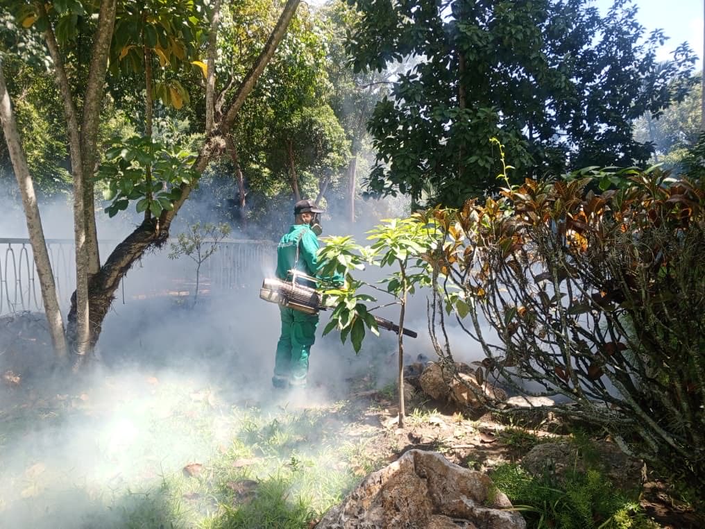 Nuestro equipo de #Fumigación🦟 se encuentra trabajando en el plan preventivo en:

📍Urb. #SantaPaula

Si conoces algún caso de dengue en tu zona, puedes reportarlo a través de: epidemiologiabaruta@gmail.com