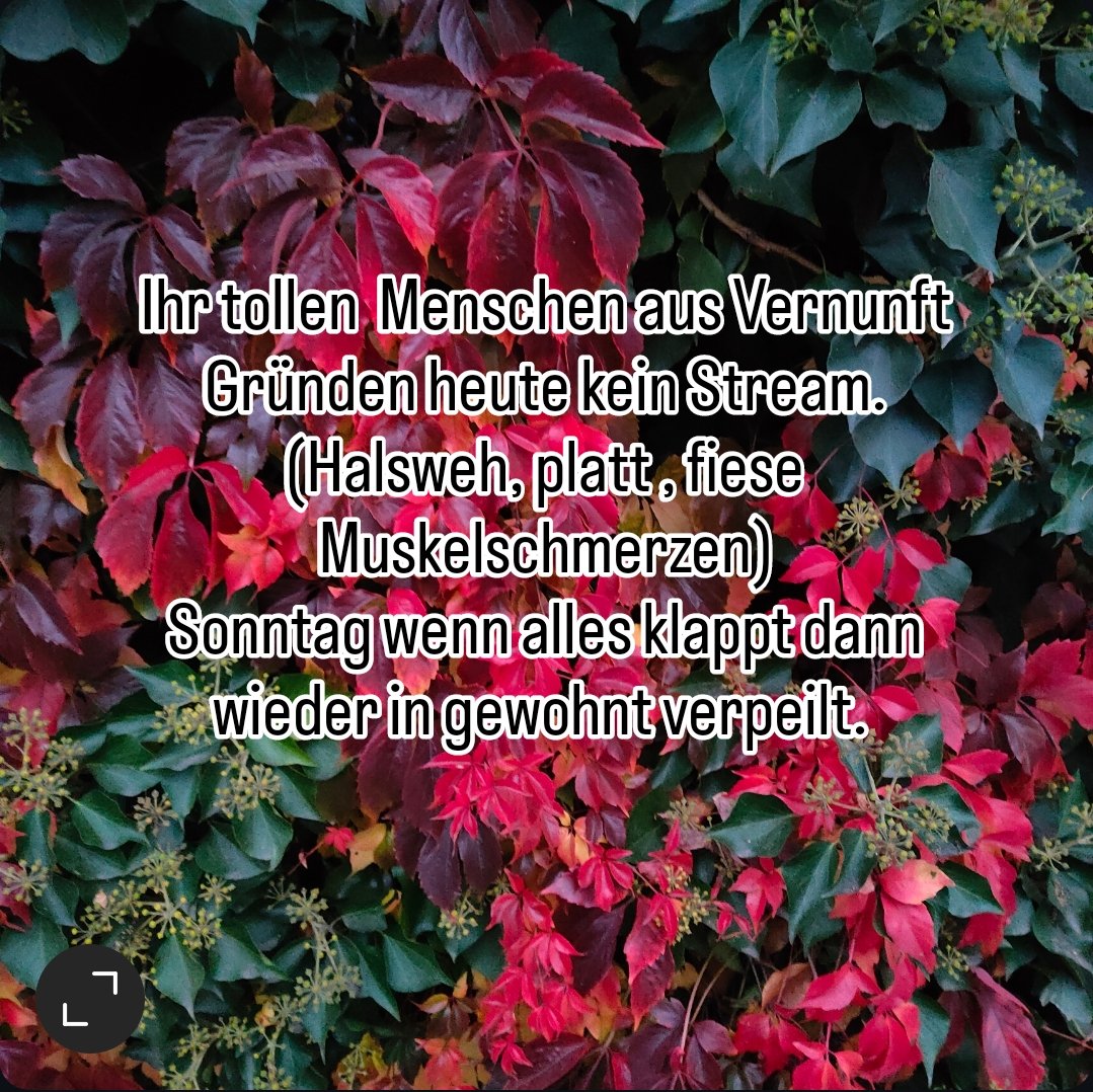 Ihr tollen  Menschen aus Vernunft Gründen heute kein Stream. (Halsweh, platt , fiese Muskelschmerzen)
Sonntag wenn alles klappt dann wieder in gewohnt verpeilt.