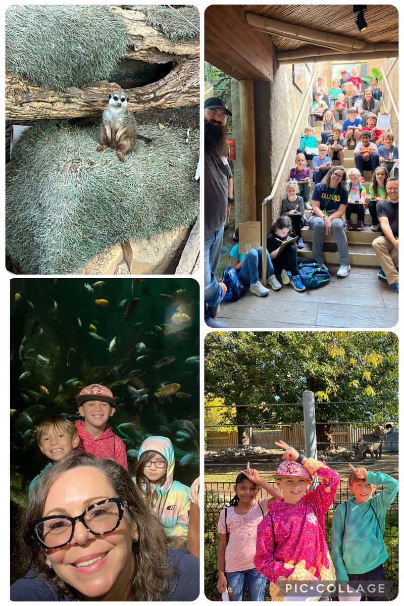 Mrs. Nedic tweet media