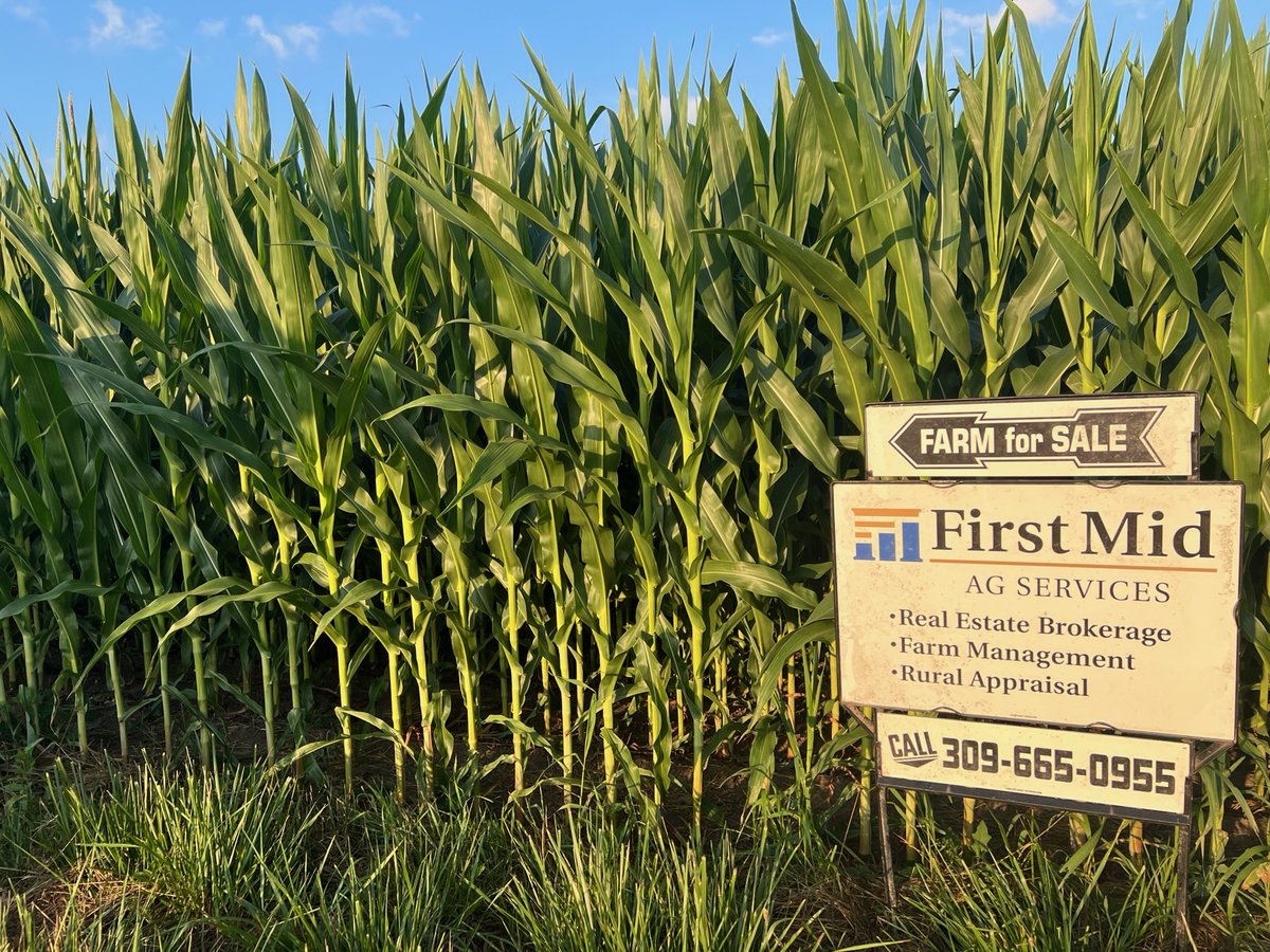 FirstMidAg's tweet image. Harvest is starting to wrap up in Central Illinois for some farmers this week.  If you are looking to sell or buy, give us a call.  We have more listings and auctions coming up throughout our 6 region-office area of the state!