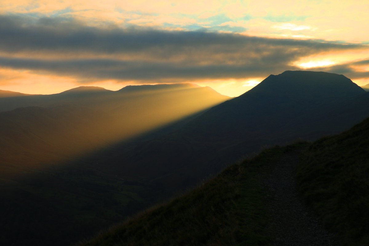 Four more from yesterday.