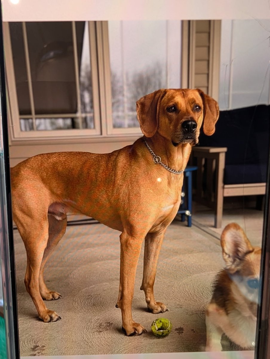 Strongsville PD tweet media