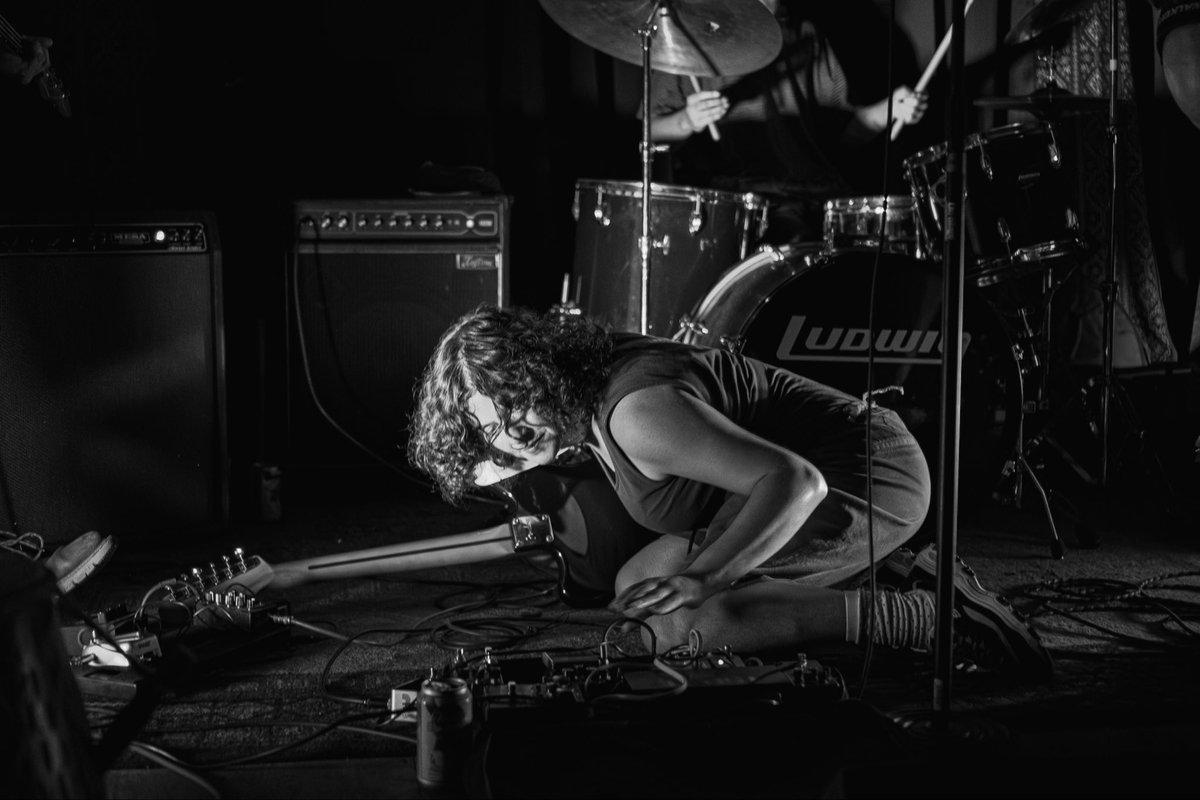 shady bug tweet media