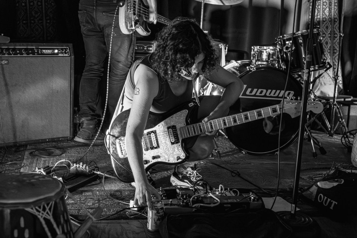 shady bug tweet media