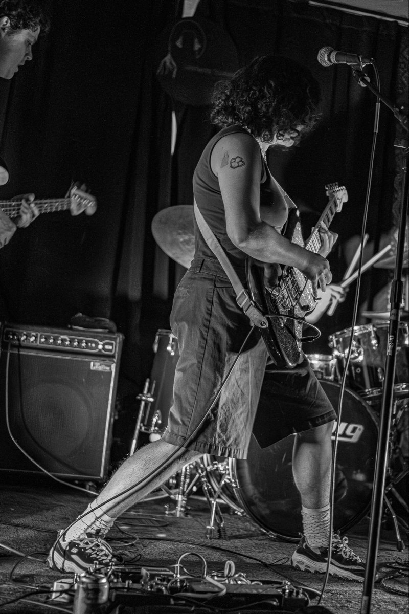 shady bug tweet media