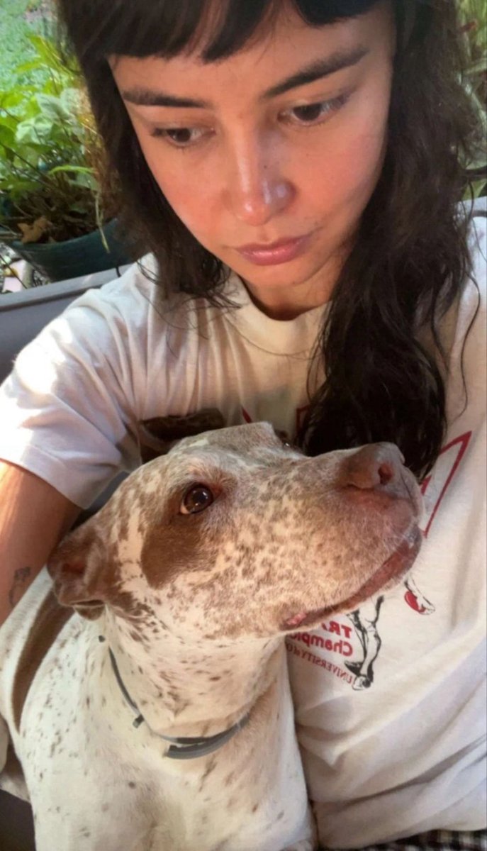 ️️ ️️moved to THEMYSCIRASFATE tweet media