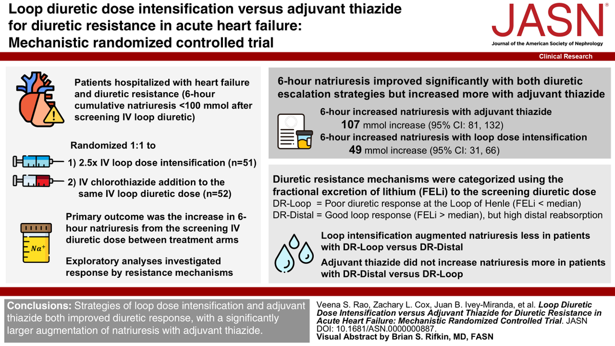 asnpublications's tweet photo. A randomized controlled trial in #ASNJASN finds that adjuvant thiazide improved diuretic response more than loop dose increased in patients with acute heart failure and diuretic resistance. Read more: https://t.co/QLFbBJNvKj https://t.co/94KzIprOZv