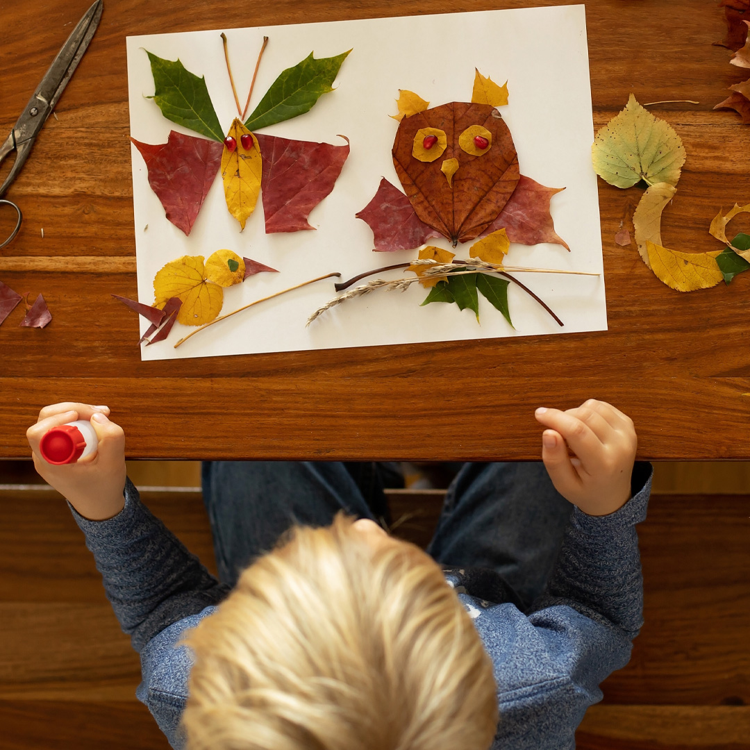 Autumn crafts for little learners! 🍂🖌️ Pumpkins, apples, thankful trees &amp; pinecone critters.#FallCrafts #AutumnVibes #DIYFallDecor #LeafPrints #CraftingWithKids #PumpkinSeason #CreativeFall #FallFun #HandmadeWithLove