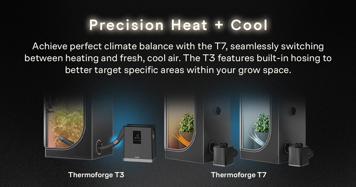 AcInfinityInc's tweet image. Thermoforge T3 vs Thermoforge T7 - Which Heater Is Right for Your Plants? 🌱🔥

The T3 delivers reliable heating with 10 adjustable levels, smart temperature and VPD controls, and a flexible hose for targeted warmth. The T7 takes it to the next level with adaptive AI that…