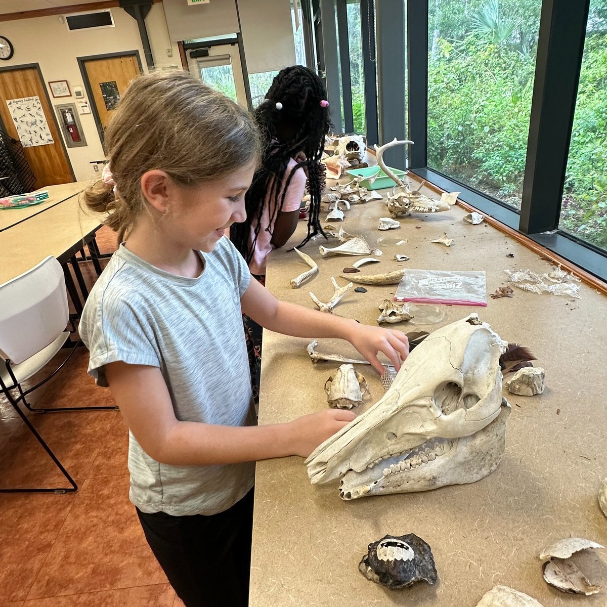 Learning meets adventure! 🌿 Students from Frontier Elementary spent the day at Brooker Creek Preserve, exploring native plants and wildlife, studying invasive species, and discovering the wonders of nature firsthand. #PCSFieldTrips